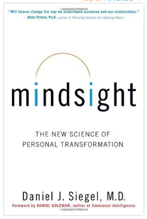 Mindsight by Dan Seigel